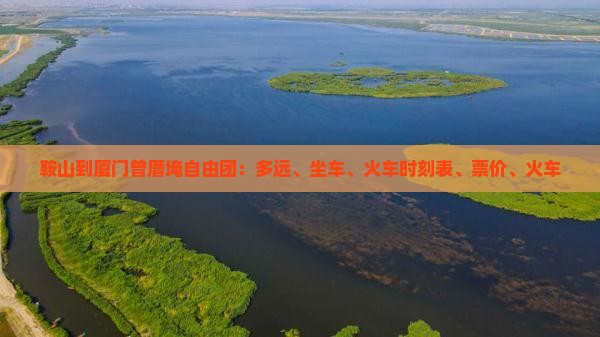鞍山到厦门曾厝埯自由团
