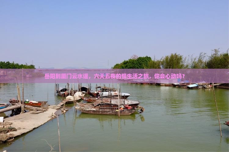 岳阳去厦门云水谣六日游