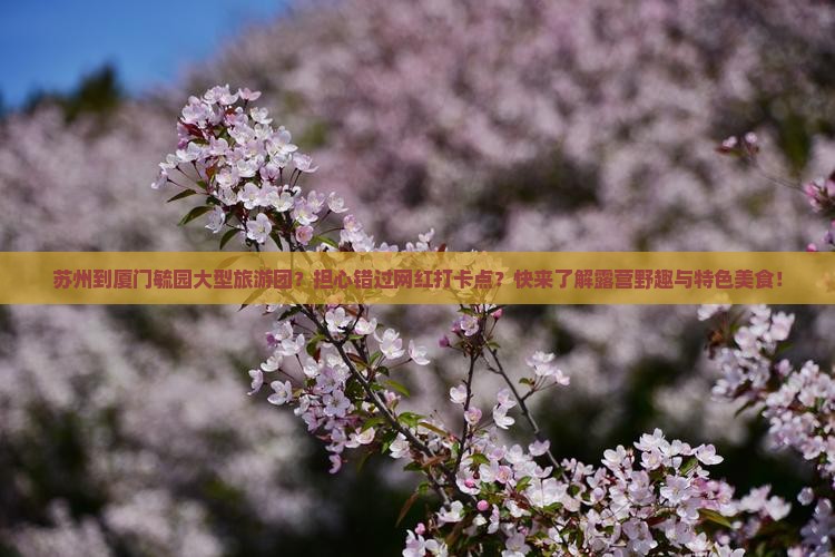 苏州到厦门毓园大型旅游团