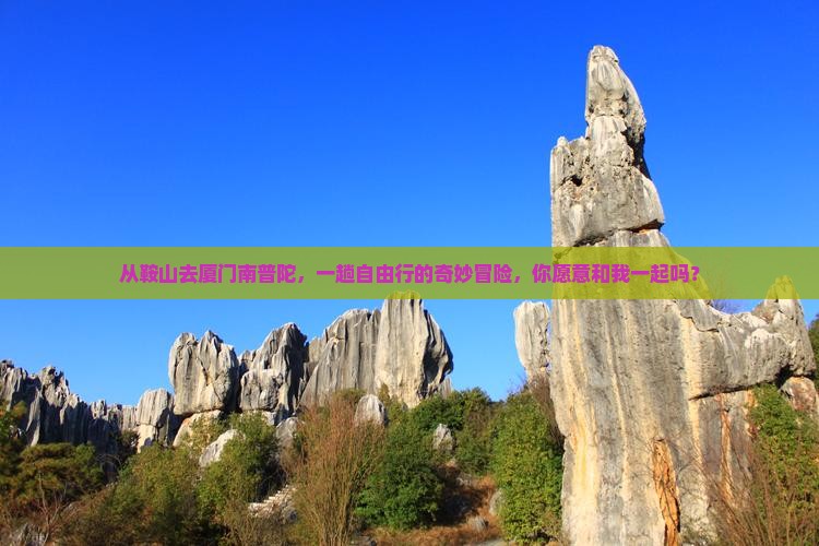 鞍山到厦门南普陀自由团