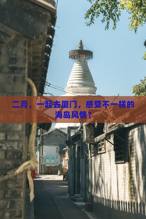 二月到厦门团体旅游