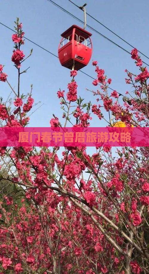 春节到厦门曾厝埯旅行社