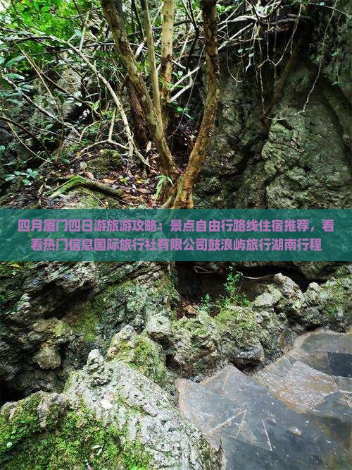 四月去厦门四日游
