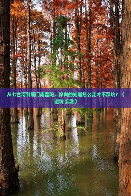 七台河到厦门南普陀攻略