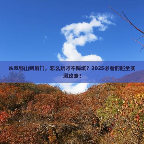 双鸭山到厦门攻略