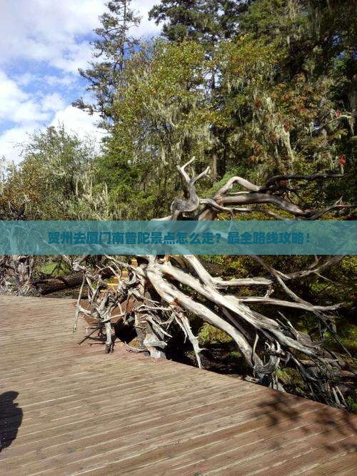 贺州去厦门南普陀景点
