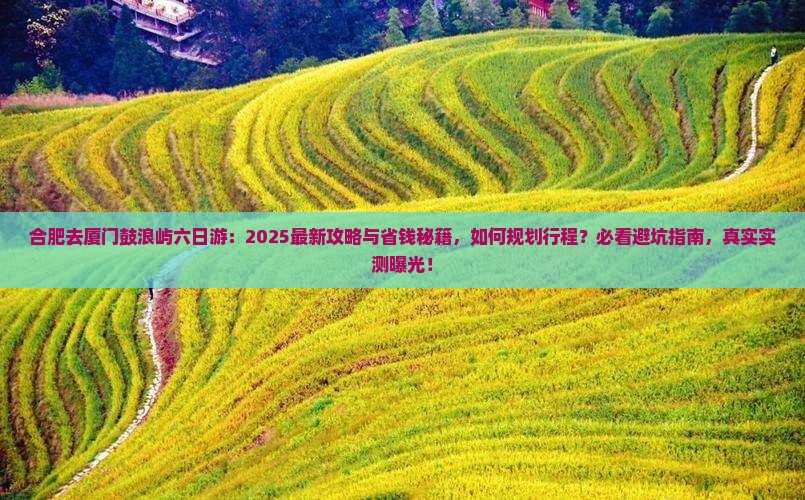 合肥去厦门鼓浪屿六日游