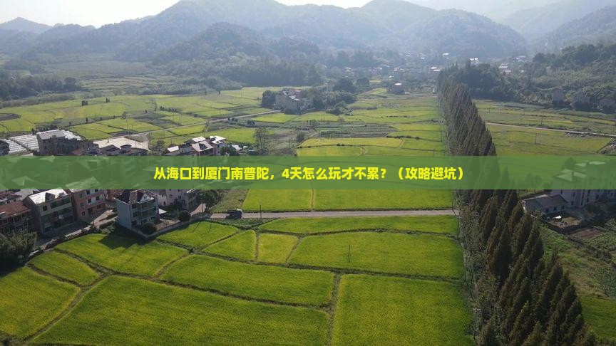 海口去厦门南普陀四日游