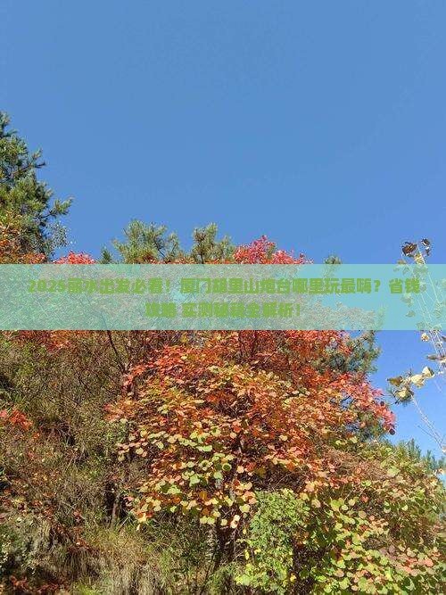 丽水到厦门胡里山炮台哪里玩