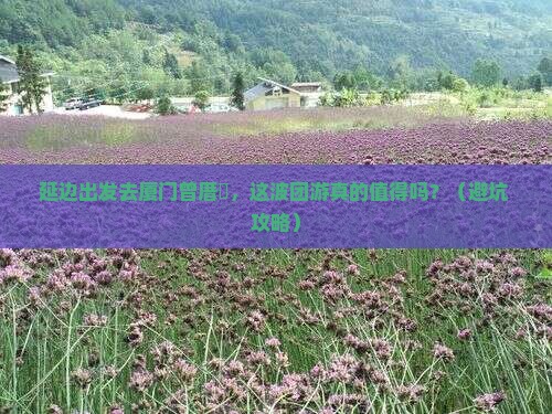 延边去厦门曾厝埯团体旅游