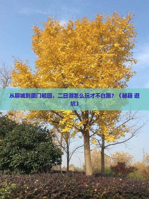 聊城去厦门毓园二日游