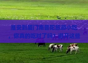 淮安到厦门南普陀旅游小吃