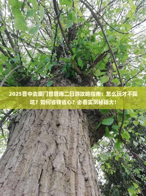 晋中去厦门曾厝埯二日游