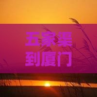 五家渠到厦门五日游