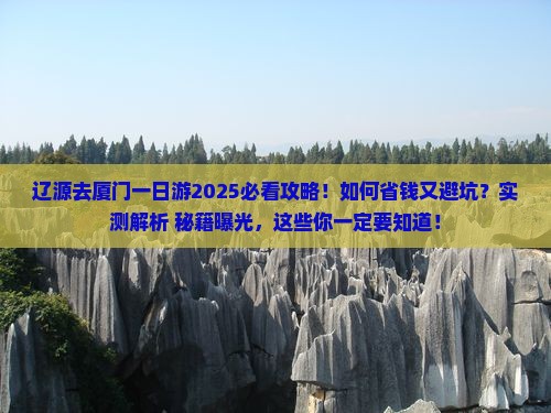 辽源去厦门一日