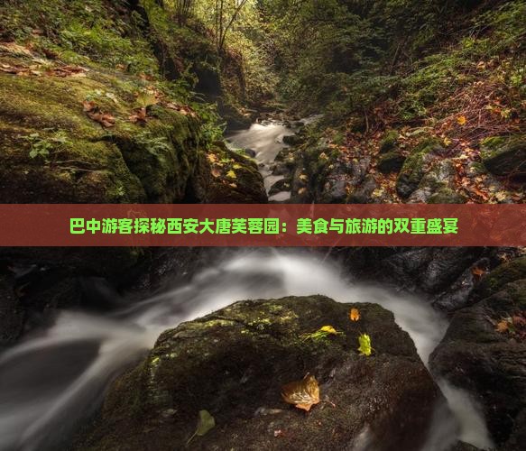 巴中游客探秘西安大唐芙蓉园：美食与旅游的双重盛宴