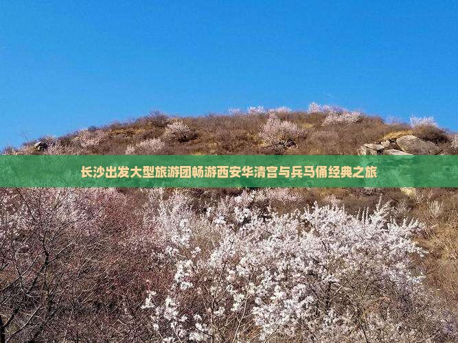 长沙出发大型旅游团畅游西安华清宫与兵马俑经典之旅