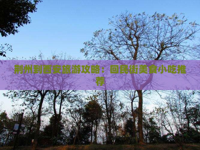 荆州到西安旅游攻略：回民街美食小吃推荐