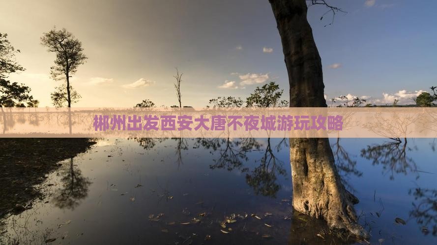 郴州出发西安大唐不夜城游玩攻略