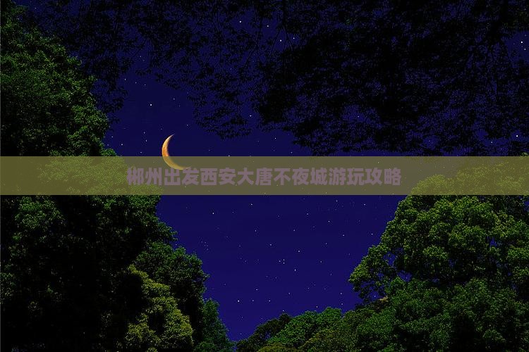 郴州出发西安大唐不夜城游玩攻略