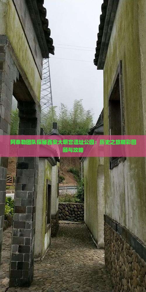 阿泰勒团队探秘西安大明宫遗址公园：历史之旅精彩回顾与攻略