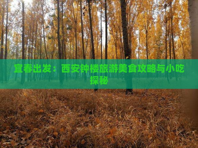 宜春出发：西安钟楼旅游美食攻略与小吃探秘