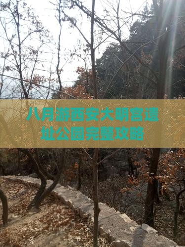 八月游西安大明宫遗址公园完整攻略