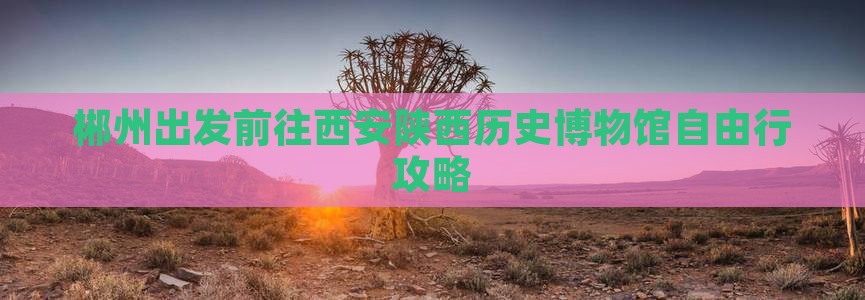 郴州出发前往西安陕西历史博物馆自由行攻略