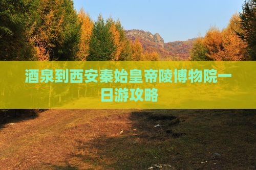 酒泉到西安秦始皇帝陵博物院一日游攻略
