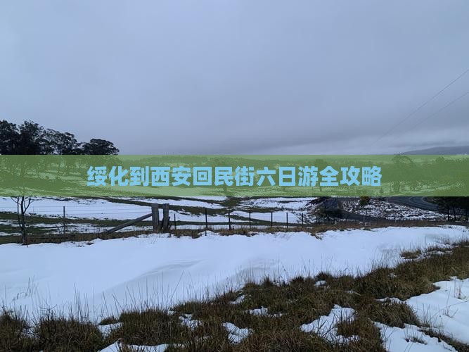 绥化到西安回民街六日游全攻略