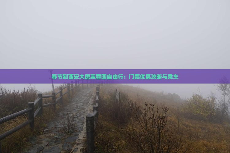 春节到西安大唐芙蓉园自由行：门票优惠攻略与乘车