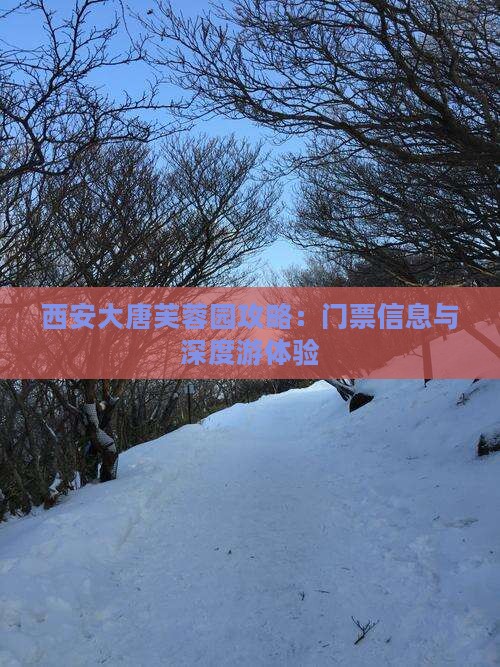 西安大唐芙蓉园攻略：门票信息与深度游体验