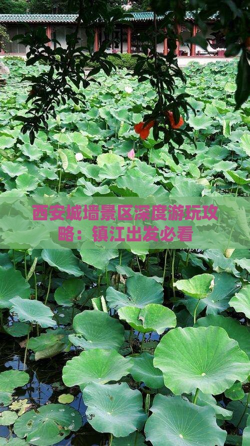 西安城墙景区深度游玩攻略：镇江出发必看