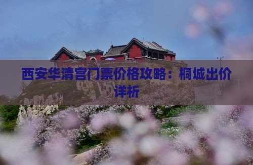 西安华清宫门票价格攻略：桐城出价详析