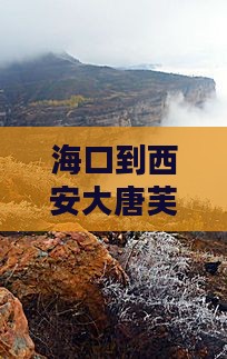 海口到西安大唐芙蓉园门票及游玩攻略
