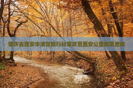 肇庆去西安华清宫旅行社肇庆至西安公里数票查询