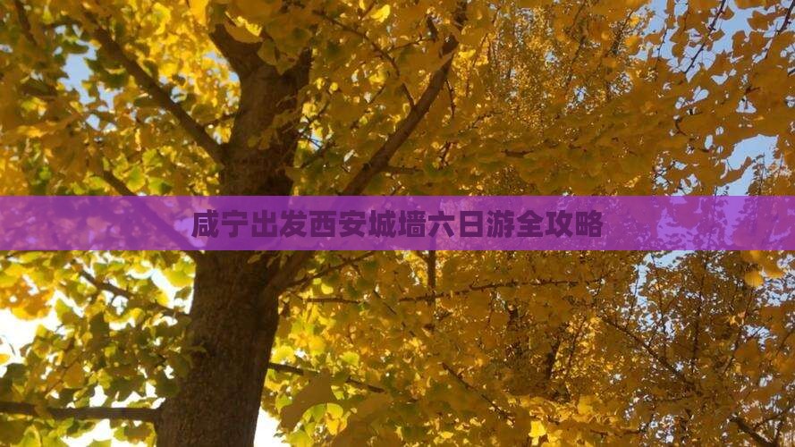 咸宁出发西安城墙六日游全攻略