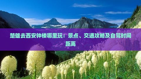 楚雄去西安钟楼哪里玩：景点、交通攻略及自驾时间距离