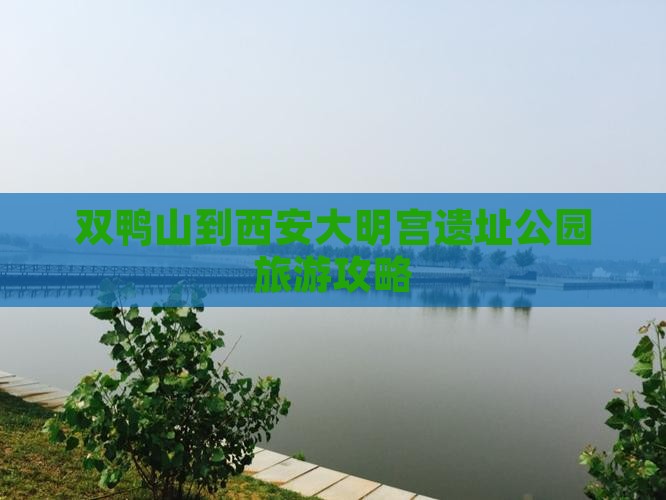 双鸭山到西安大明宫遗址公园旅游攻略