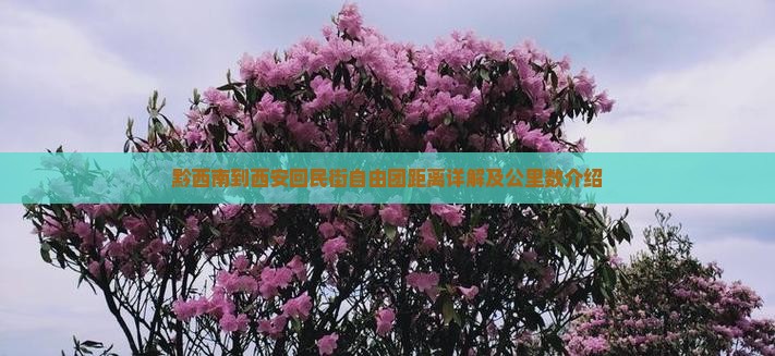 黔西南到西安回民街自由团距离详解及公里数介绍