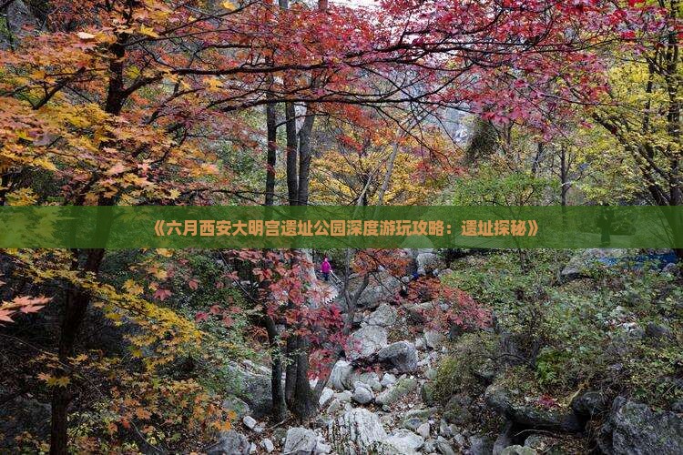 《六月西安大明宫遗址公园深度游玩攻略：遗址探秘》