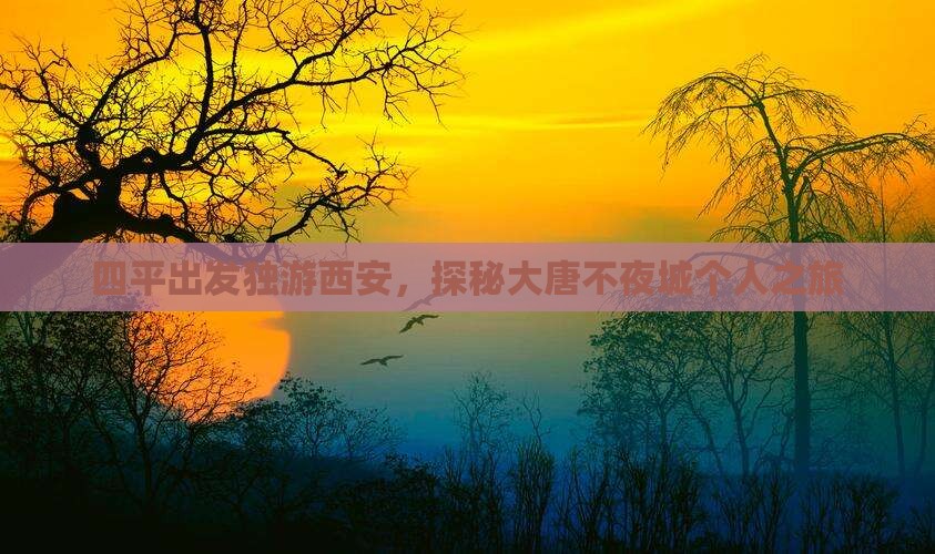 四平出发独游西安，探秘大唐不夜城个人之旅