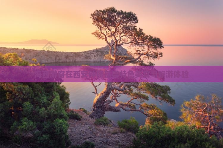 海西游客在西安钟楼品尝特色美食与旅游体验