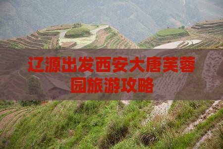 辽源出发西安大唐芙蓉园旅游攻略