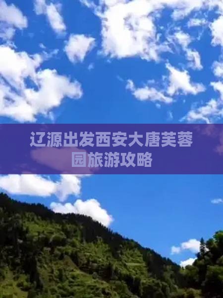 辽源出发西安大唐芙蓉园旅游攻略