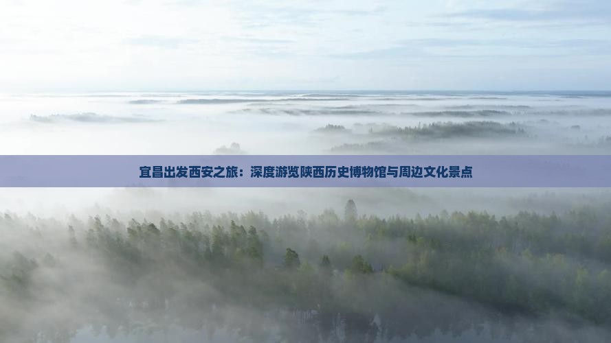 宜昌出发西安之旅：深度游览陕西历史博物馆与周边文化景点