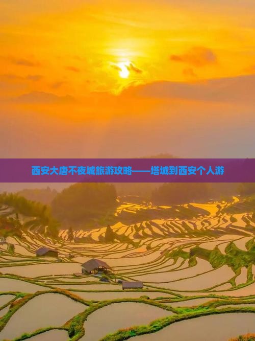西安大唐不夜城旅游攻略——塔城到西安个人游