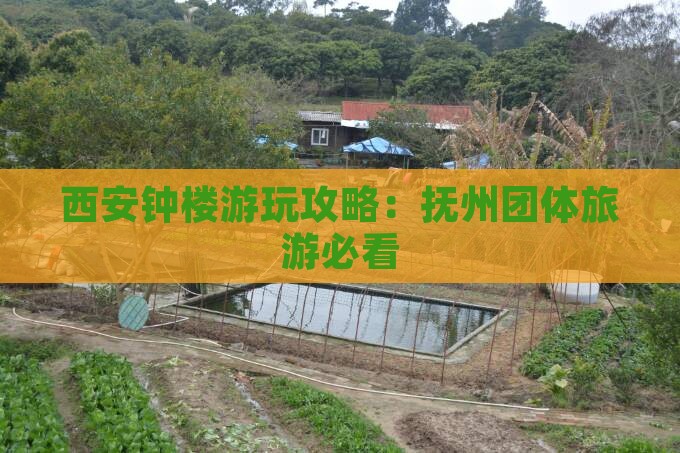 西安钟楼游玩攻略：抚州团体旅游必看