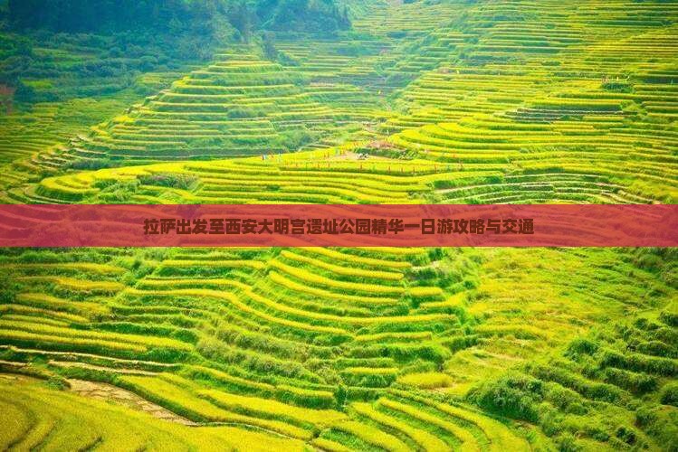 拉萨出发至西安大明宫遗址公园精华一日游攻略与交通