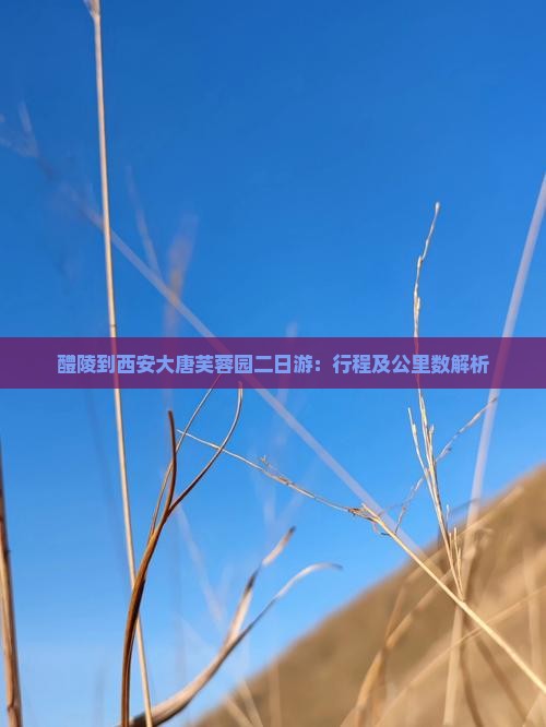 醴陵到西安大唐芙蓉园二日游：行程及公里数解析